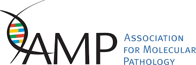 AMP