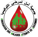 Arabic Partner